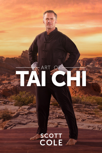 Cyberobics - Art of Tai Chi